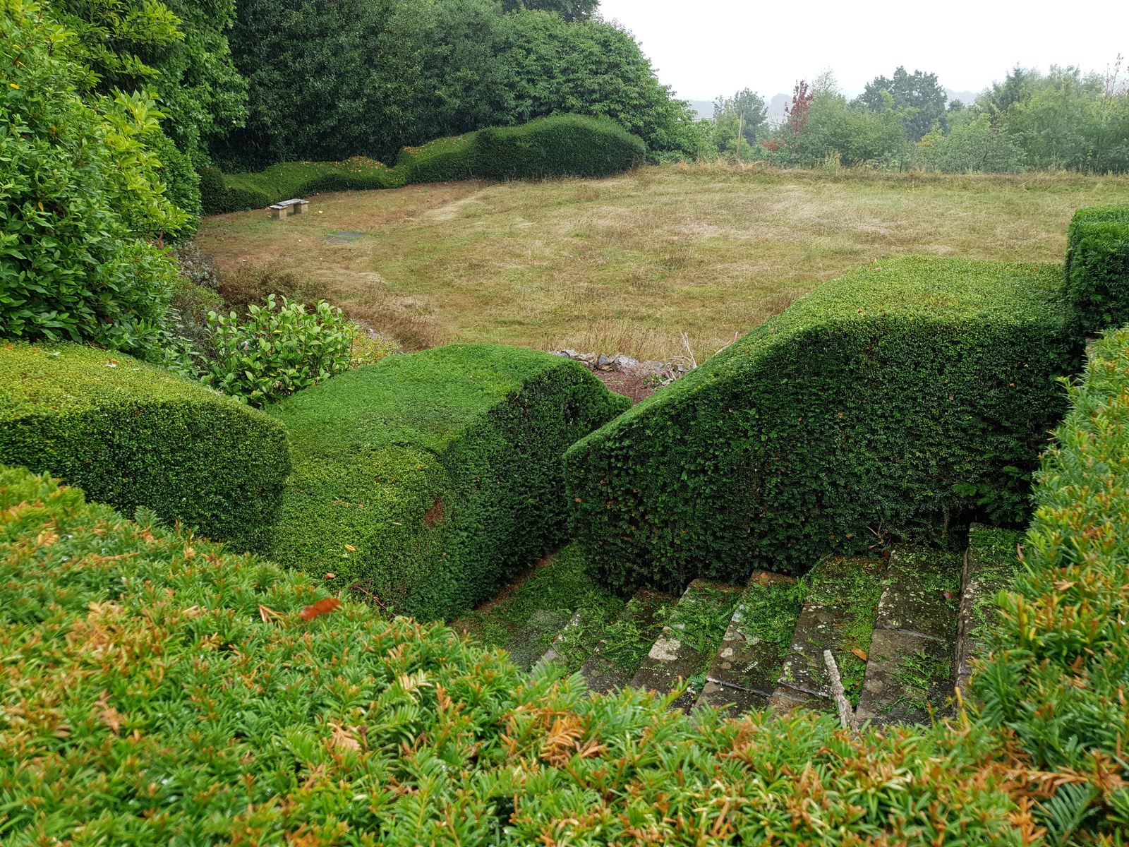 topiary, hedges, meadows and views