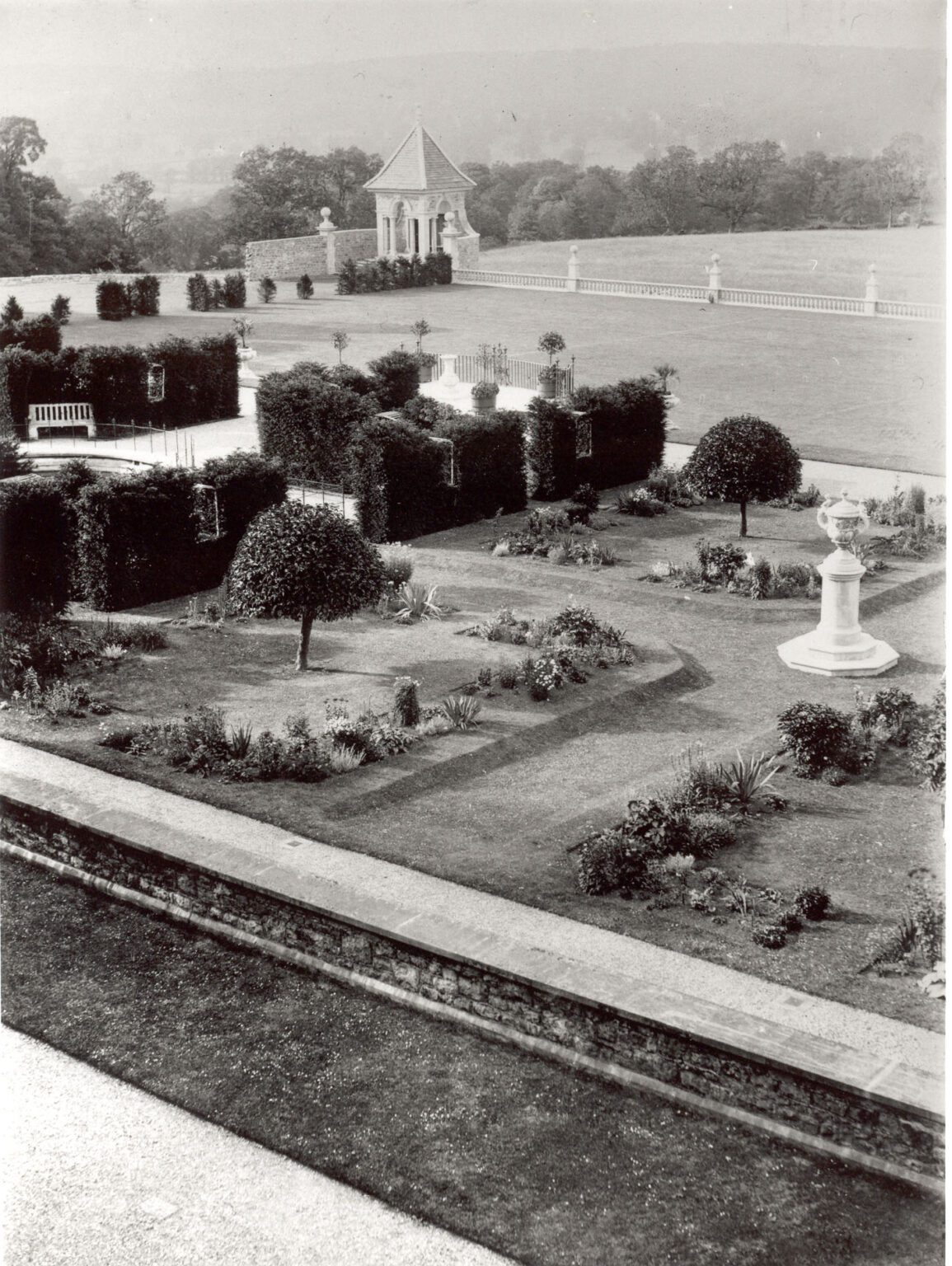 Box Moth, Box Blight, Topiary & Parterres - Edwards Garden Design