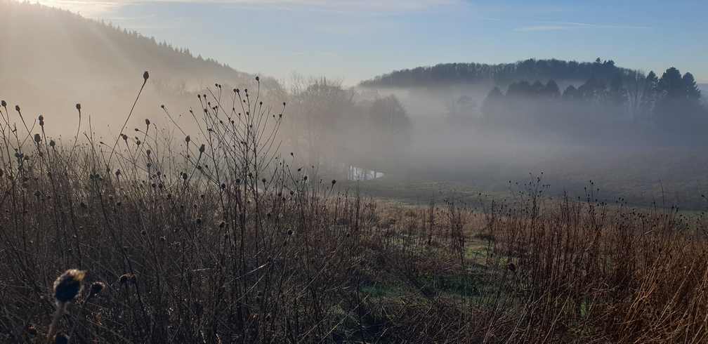 A landscape park in Monmouthshire